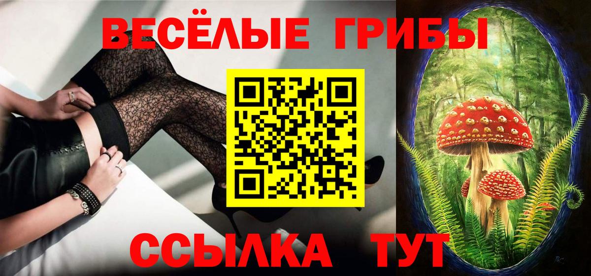 Псилоцибиновые грибы мухоморы  Галлюциногенные грибы GOLDEN TEACHER  продажа наркотиков  Вход с VPN  Серпухов 